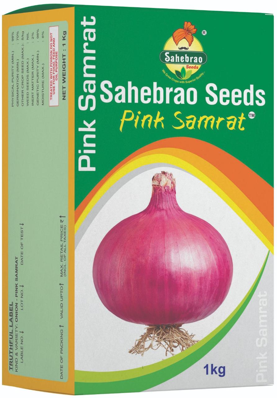 Pink Samrat Onion - Full View